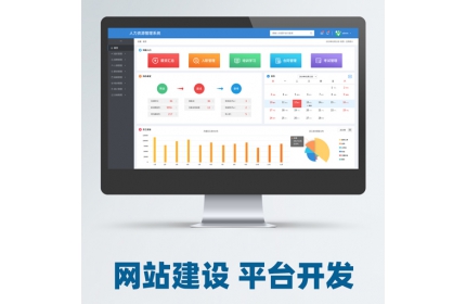 网站建设平台开发)